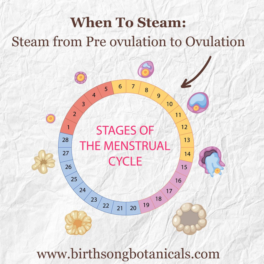 Yoni Steam Herbal Fertility Blend to Support Vaginal and Womb Health