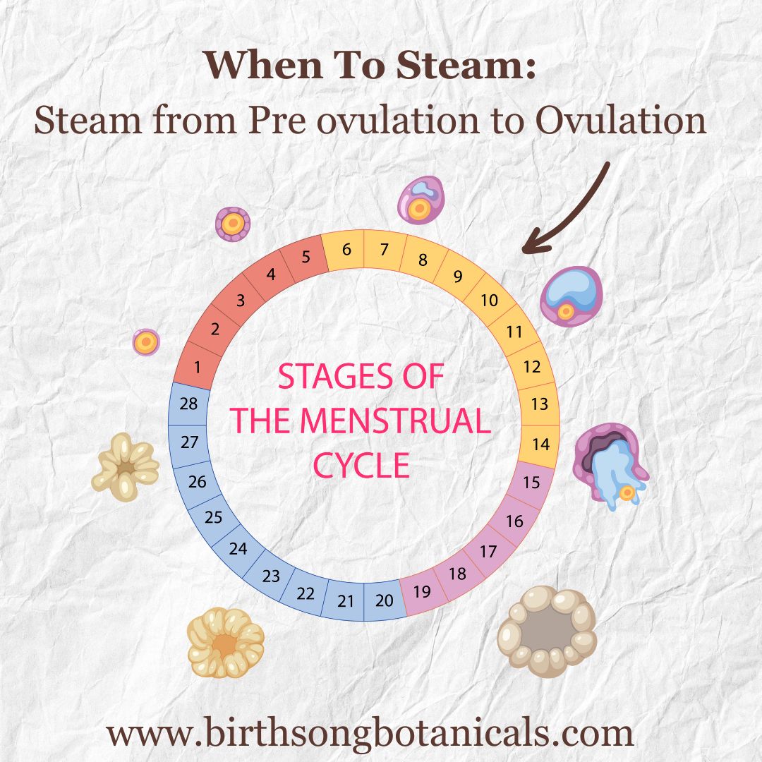 Yoni Steam Herbal Fertility Blend to Support Vaginal and Womb Health
