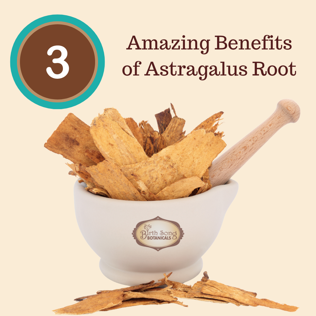 Astragalus Root Complex Immune Support Supplement- Huang Qi