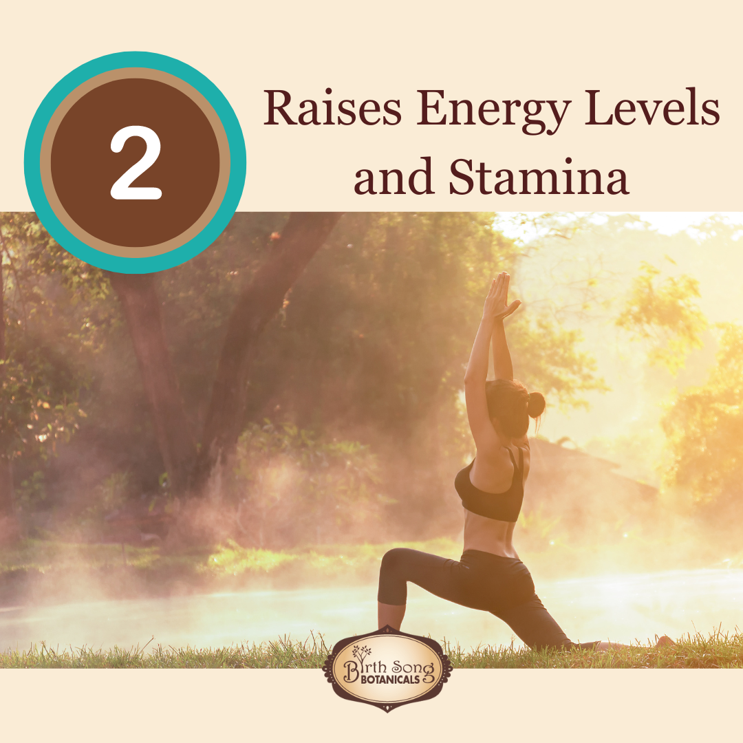 Astragalus Root Complex Immune Support Supplement- Huang Qi