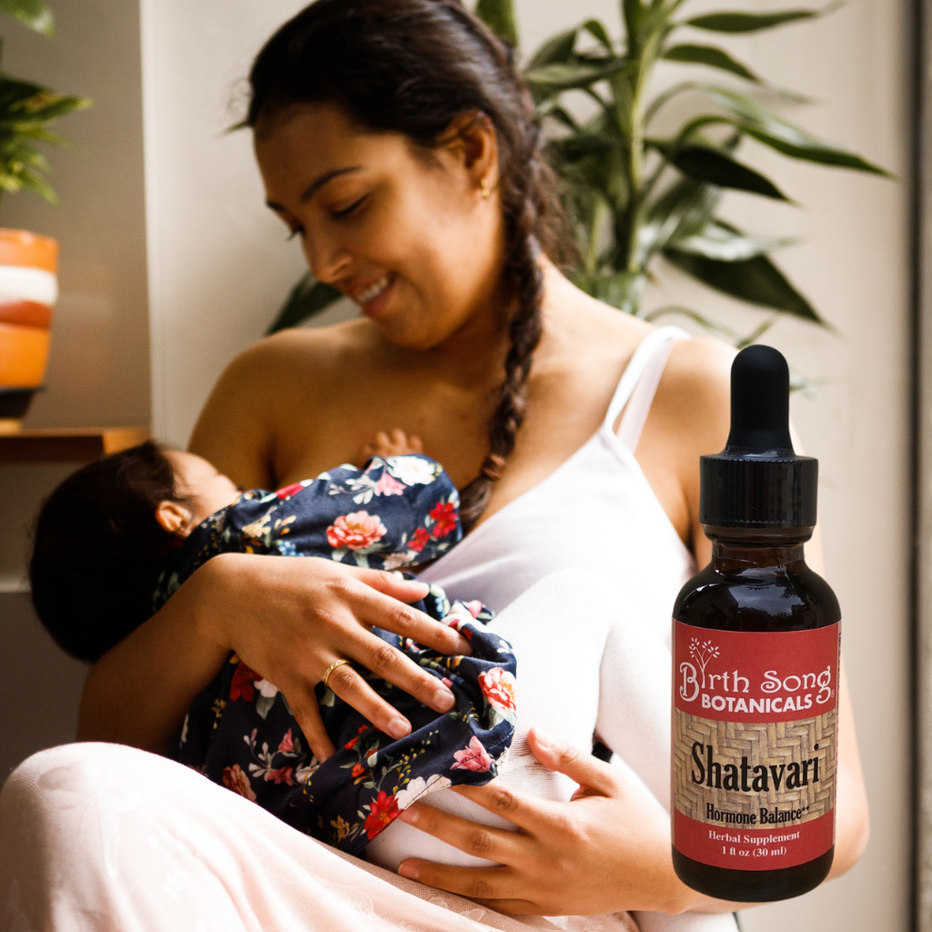 Shatavari Root Supplement for Lactation and Hormonal Support 1 oz.
