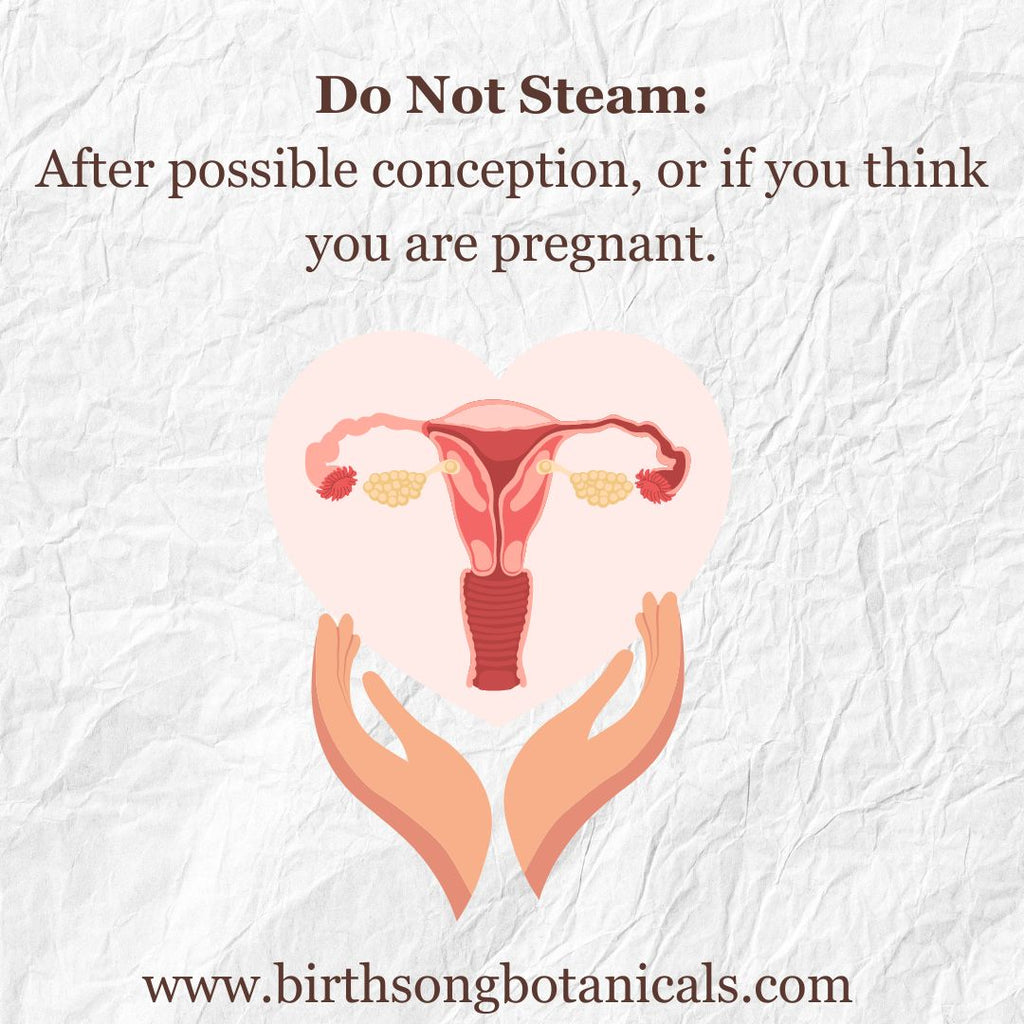 Yoni Steam Herbal Fertility Blend to Support Vaginal and Womb Health