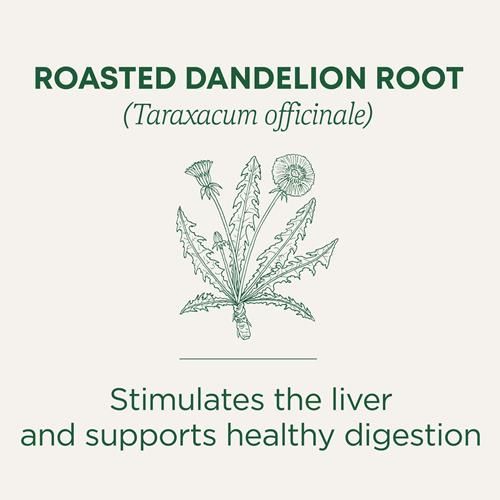 Traditional Medicinals Roasted Dandelion Root Herbal Tea, 16 Ct