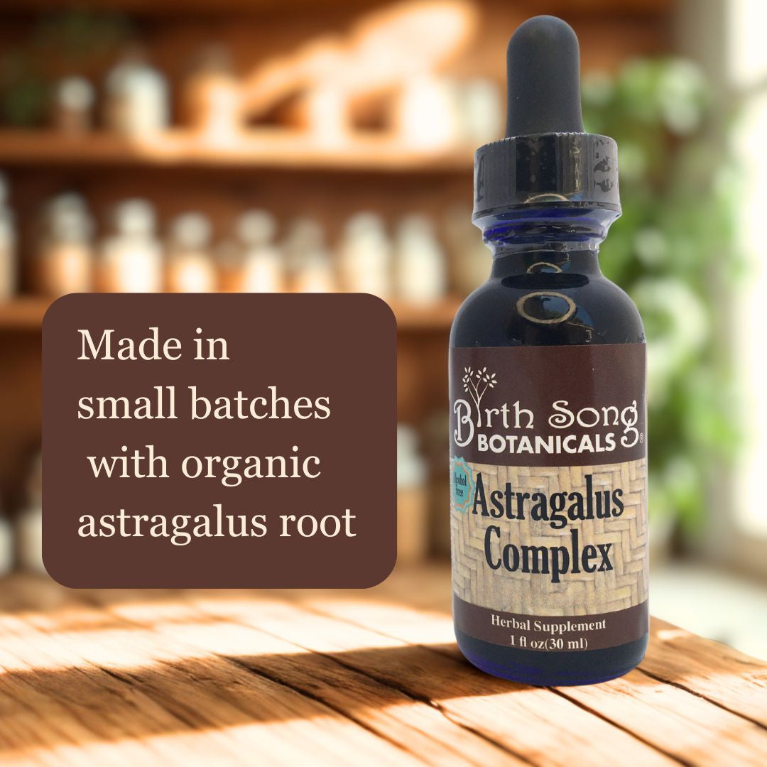 Astragalus Root Complex Immune Support Supplement- Huang Qi