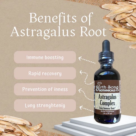 Astragalus Root Complex Immune Support Supplement- Huang Qi