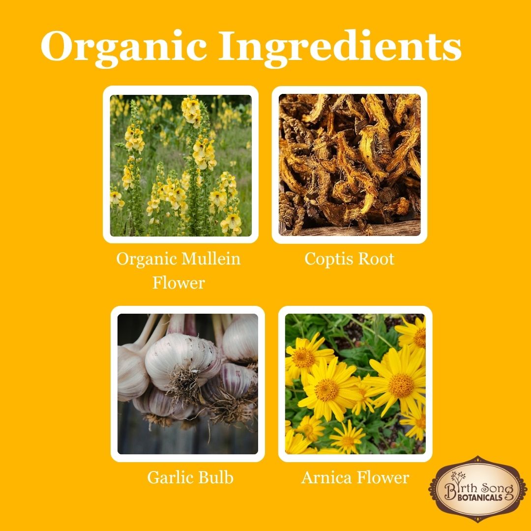 Herbal Earache Relief Oil Blended with Garlic and Mullein Flowers 1 oz