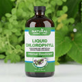 Organic Liquid Chlorophyll | Alfalfa & White Mulberry Detox Formula