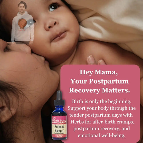 Nurtured Mother Postpartum Recovery Tincture for After Birth Cramps 1 oz. Birth Song Botanicals Co.