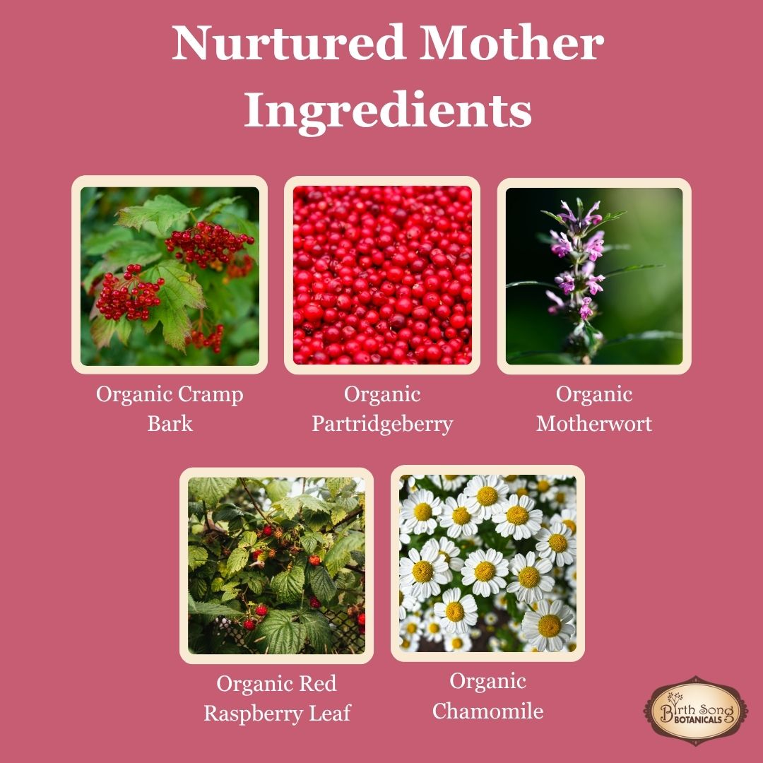 Nurtured Mother Postpartum Recovery Tincture for After Birth Cramps 1 oz.