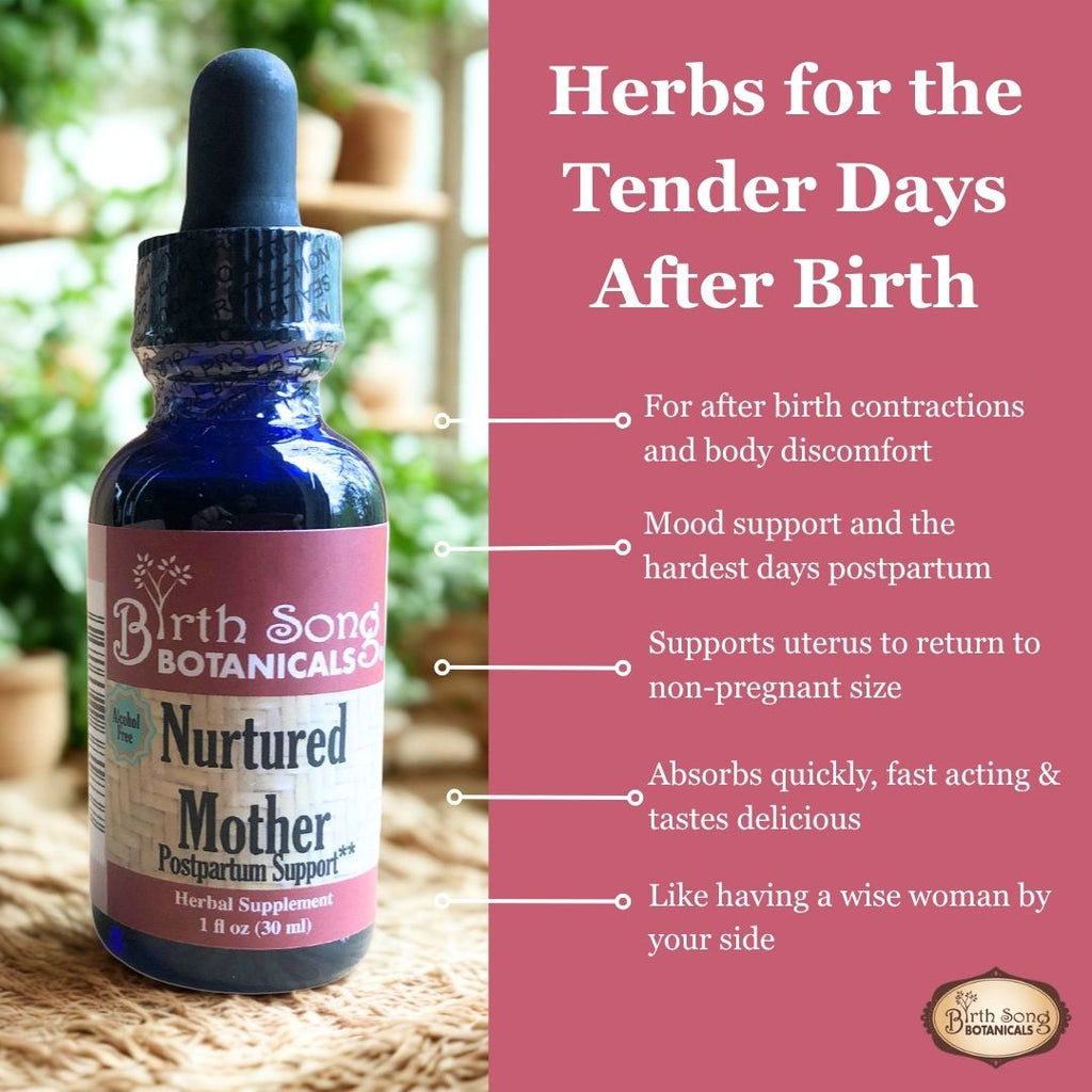 Nurtured Mother Postpartum Recovery Tincture for After Birth Cramps 1 oz.