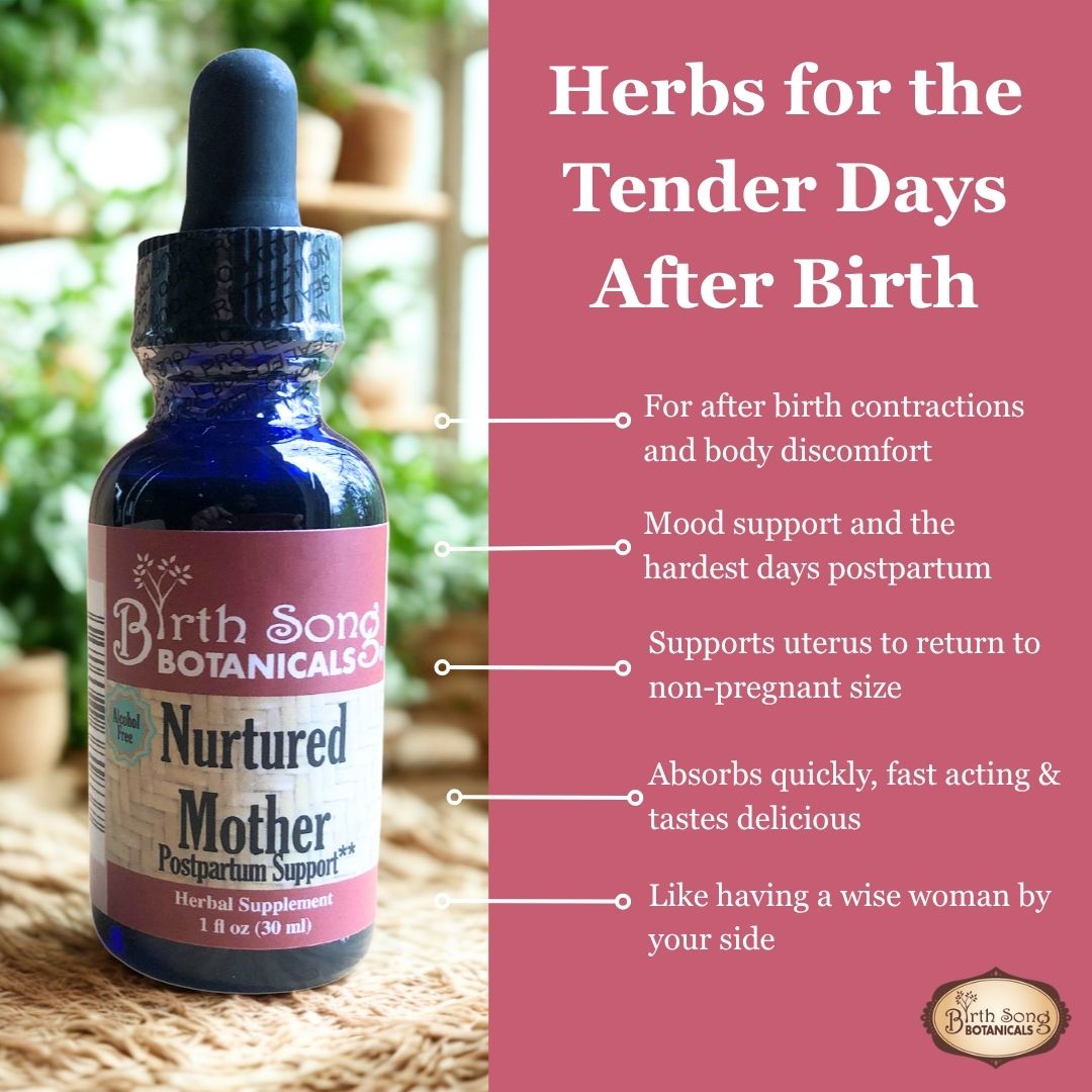 Nurtured Mother Postpartum Recovery Tincture for After Birth Cramps 1 oz.