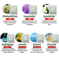 Aromatherapy Moisture Proof Deodorizing Sheets for Shoes Hats Clothing - Travel Gift Box Luggage Freshener Special Sachet