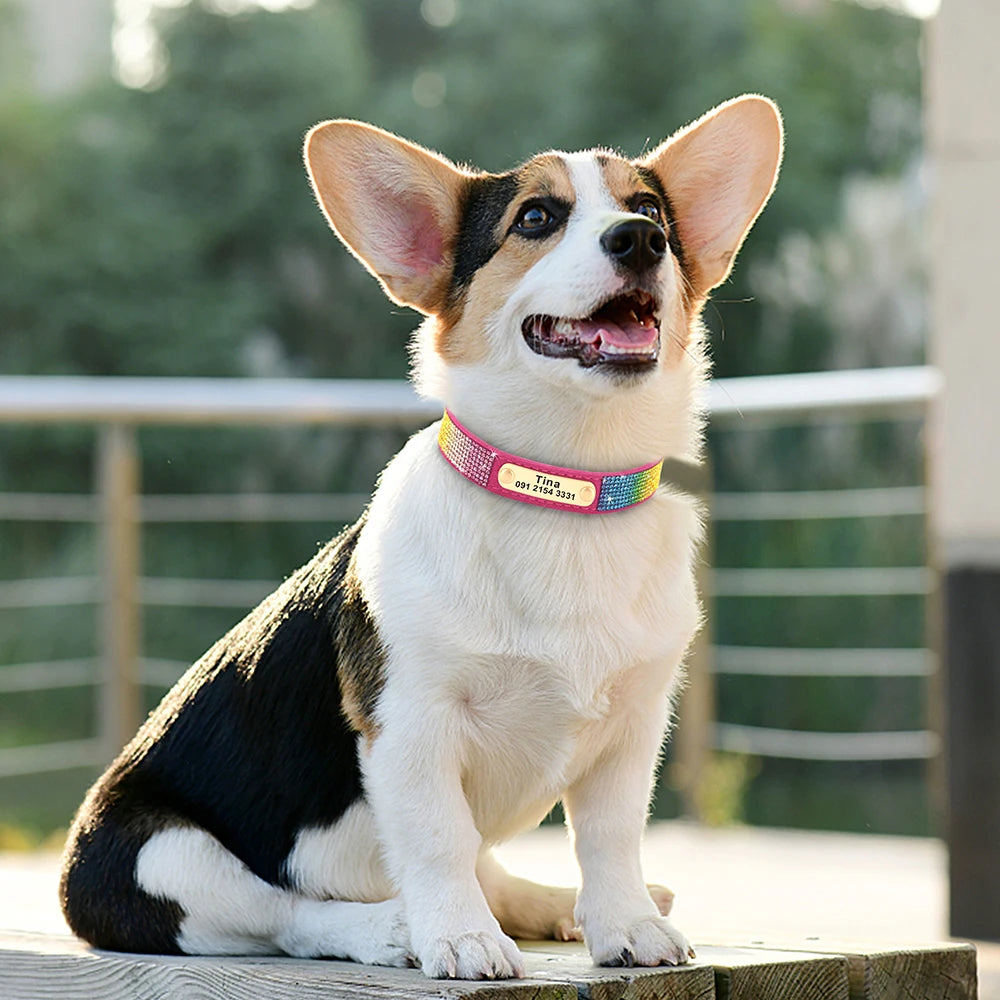 Personalized Bling Dog Collar with Engraved ID Tag