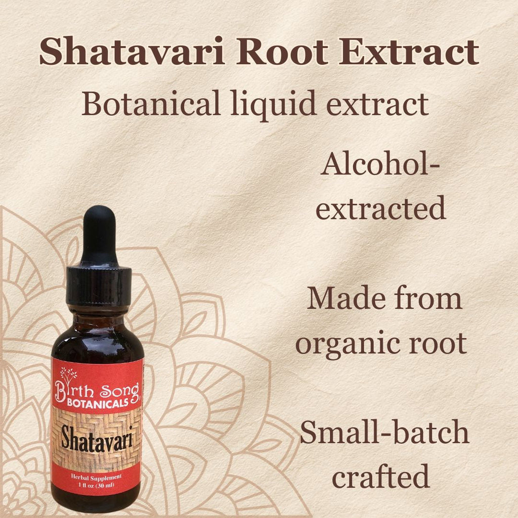 Shatavari Root Supplement for Lactation and Hormonal Support 1 oz.