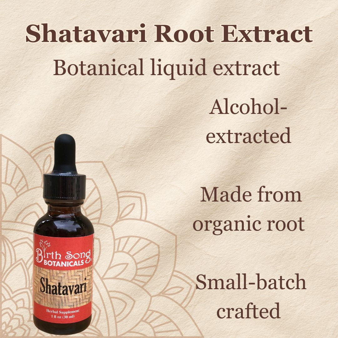 Shatavari Root Supplement for Lactation and Hormonal Support 1 oz.