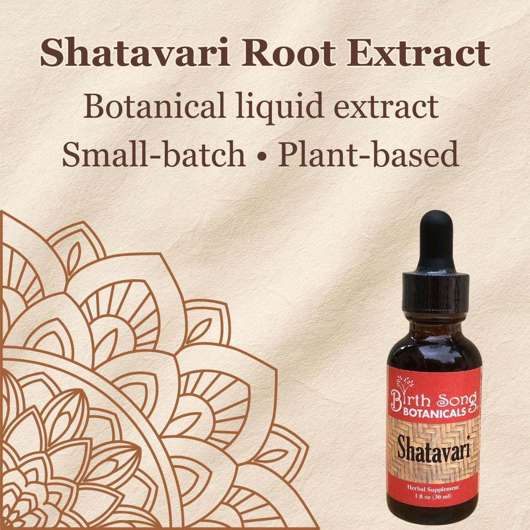 Shatavari Root Supplement for Lactation and Hormonal Support 1 oz.