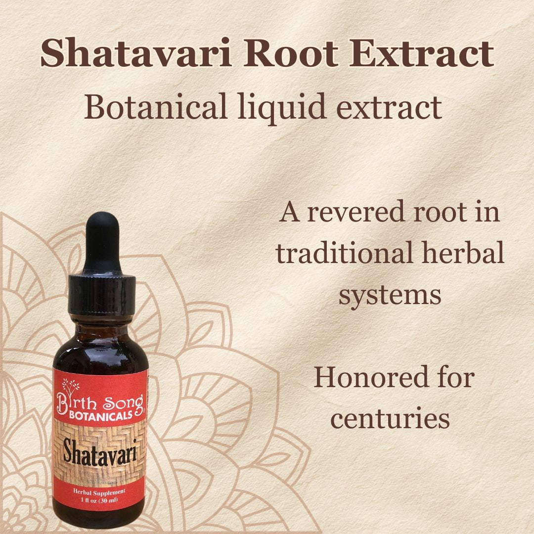 Shatavari Root Supplement for Lactation and Hormonal Support 1 oz.