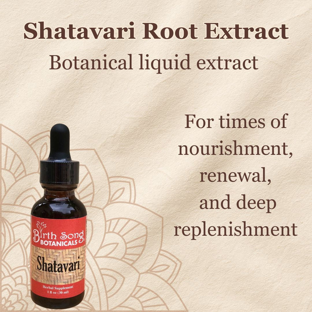 Shatavari Root Supplement for Lactation and Hormonal Support 1 oz.