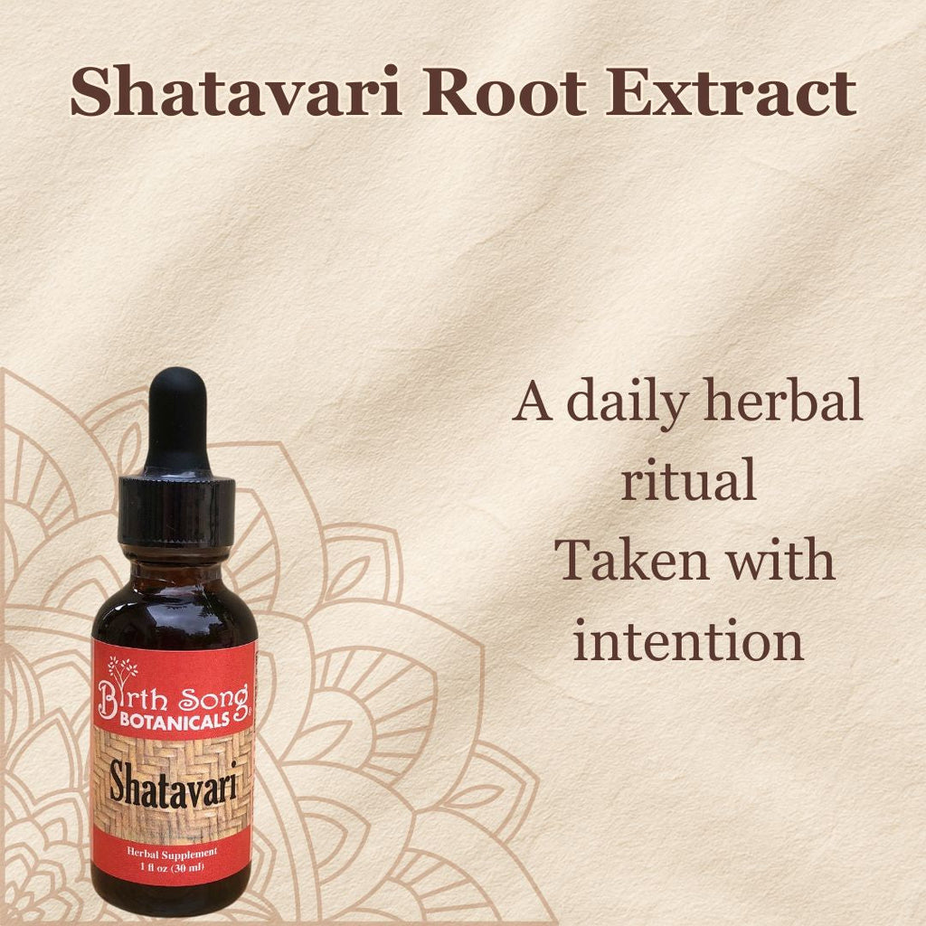Shatavari Root Supplement for Lactation and Hormonal Support 1 oz.