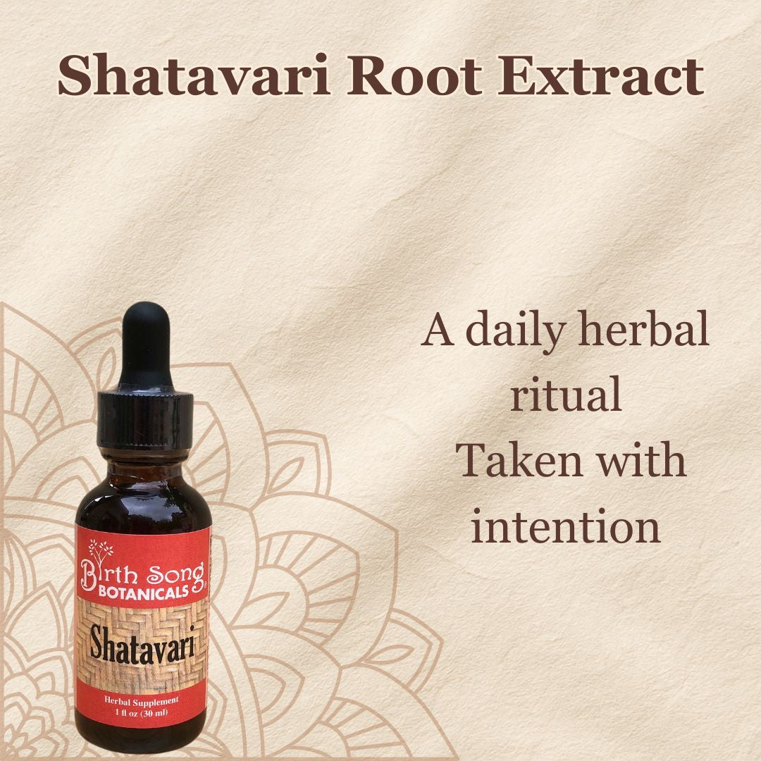 Shatavari Root Supplement for Lactation and Hormonal Support 1 oz.