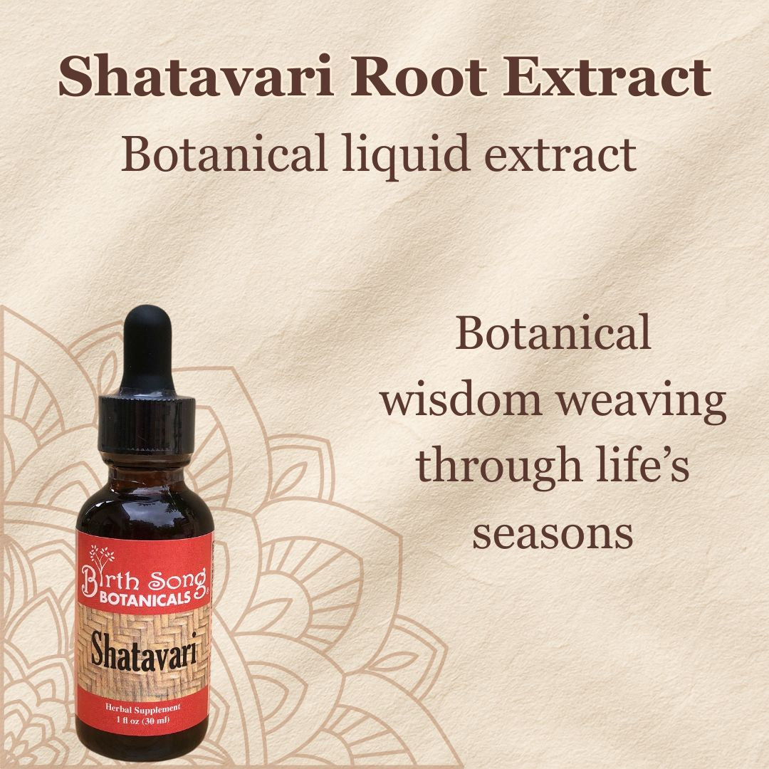 Shatavari Root Supplement for Lactation and Hormonal Support 1 oz.