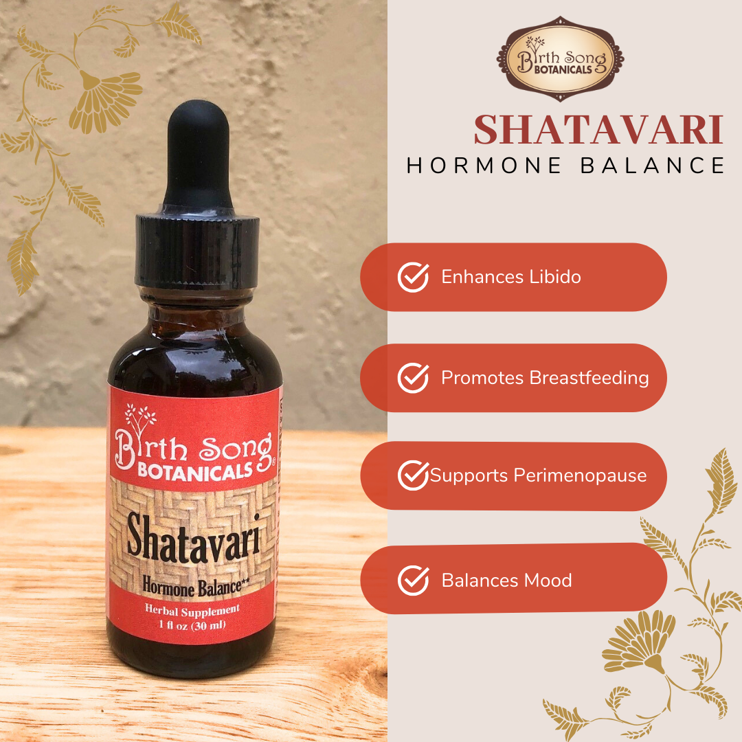 Shatavari Root Supplement for Lactation and Hormonal Support 1 oz.
