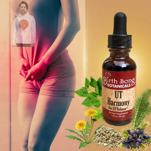 UT Harmony Herbal Tincture For Urinary Tract and Bladder Health Birth Song Botanicals Co.