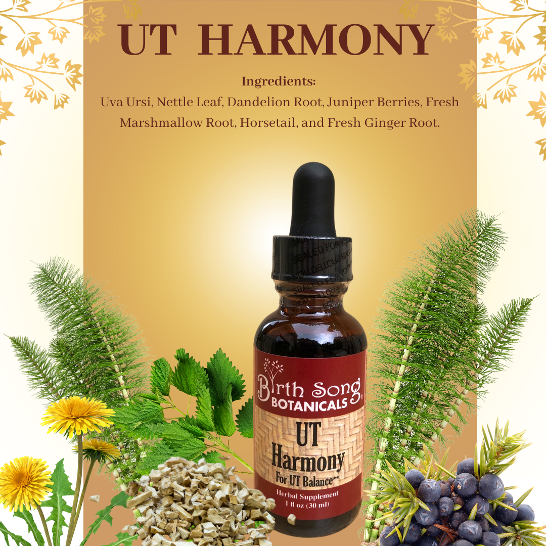 UT Harmony Herbal Tincture For Urinary Tract and Bladder Health