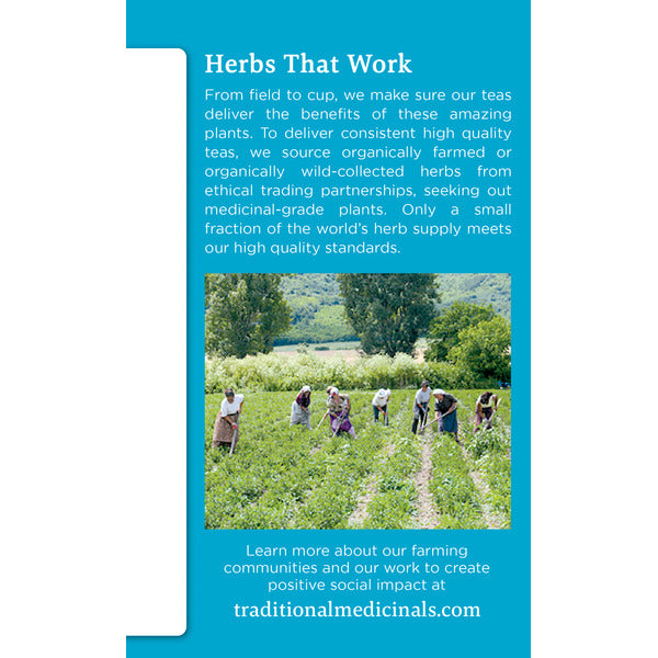 Traditional Medicinals Organic EveryDay Detox Lemon, Caffeine Free Herbal Tea