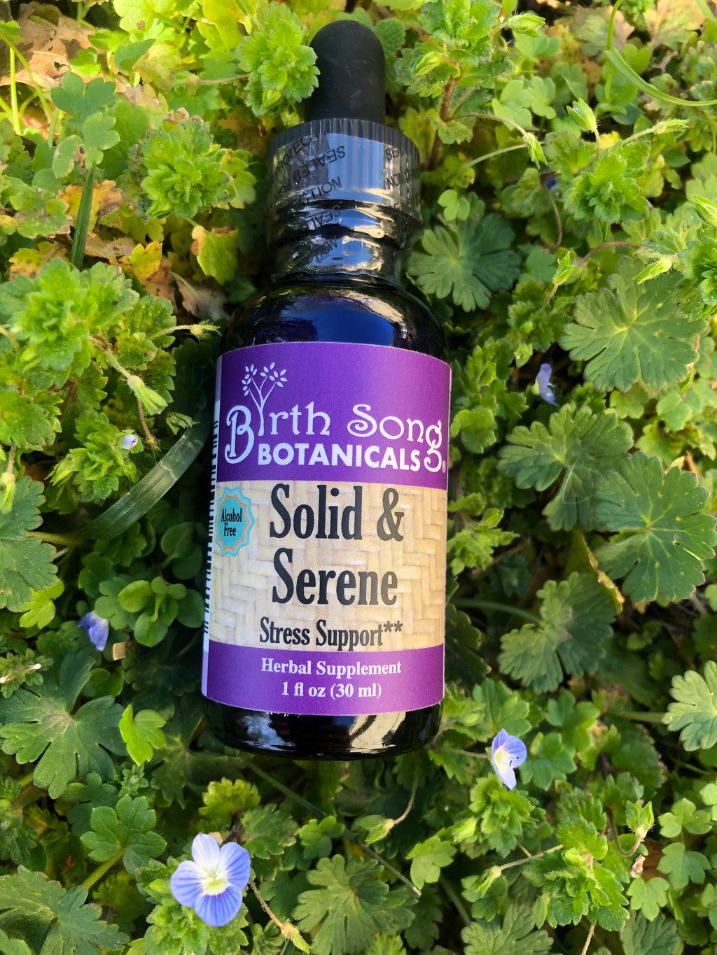 Solid & Serene Herbal Tincture Stress Support with Passionflower 1 oz.