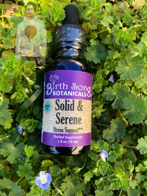 Solid & Serene Herbal Tincture Stress Support with Passionflower 1 oz. Birth Song Botanicals Co.